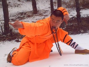 Kung Fu 2